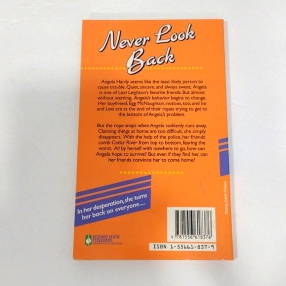 Lot of 6 Paperbacks Cedar River Daydreams #20 - #24, #27 Judy Baer Bethany House - Picture 13 of 13
